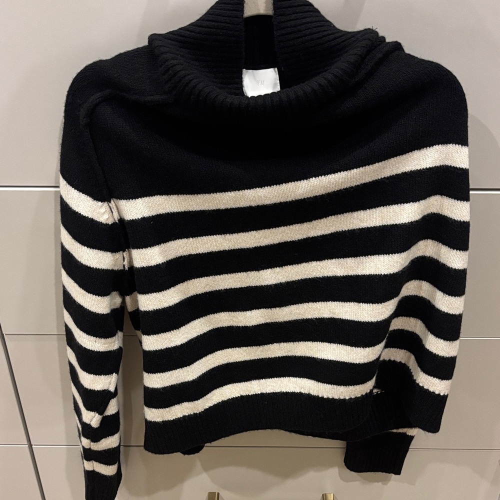 H&M Striped Turtleneck Sweater